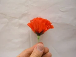 Funnyman Jokes Match To Rose